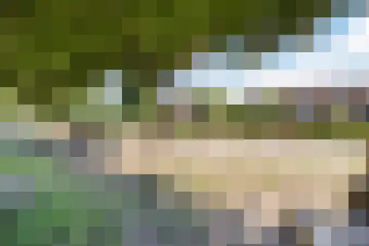 Julianastraat 7 Waspik thumbnail 45