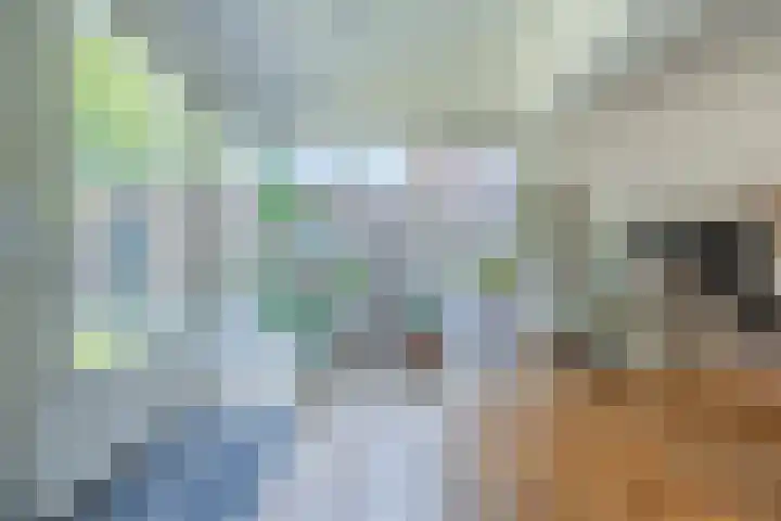 Julianastraat 7 Waspik thumbnail 7