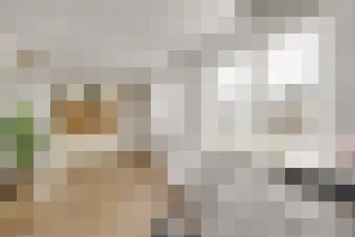 Julianastraat 7 Zuidland thumbnail 12