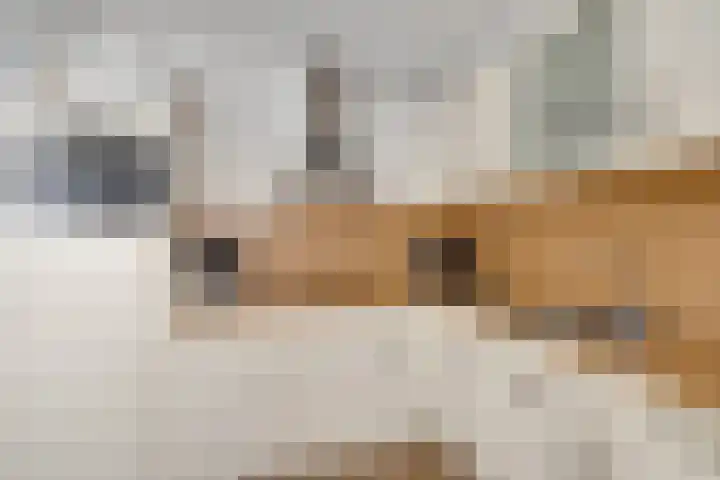 Julianastraat 7 Zuidland thumbnail 14