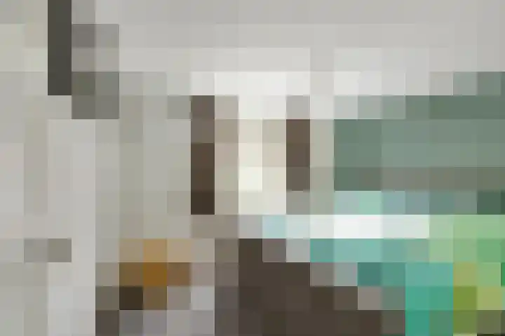 Julianastraat 7 Zuidland thumbnail 20