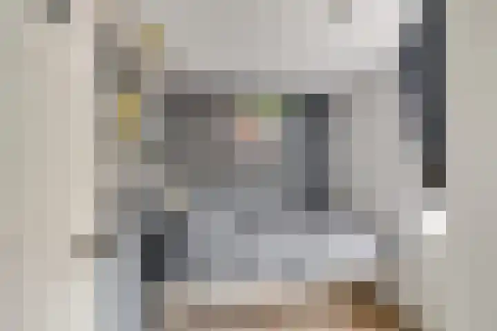 Julianastraat 7 Zuidland thumbnail 22