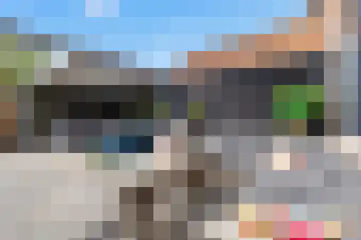 Julianastraat 7 Zuidland thumbnail 25