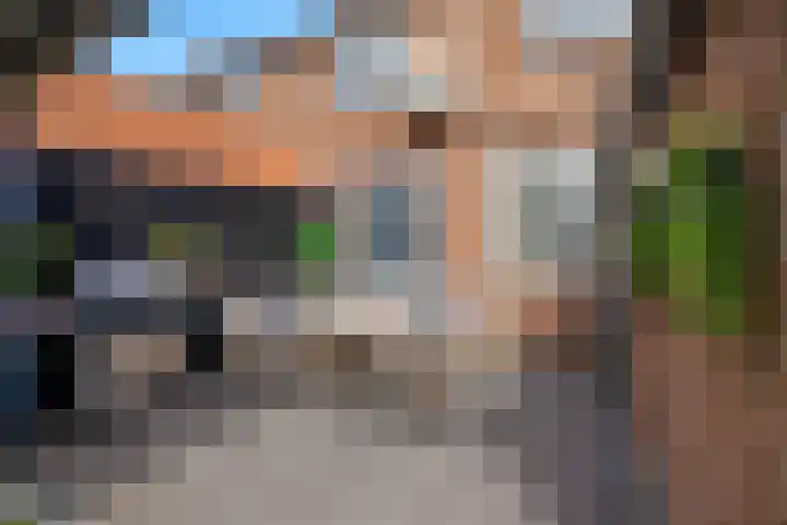 Julianastraat 7 Zuidland thumbnail 29