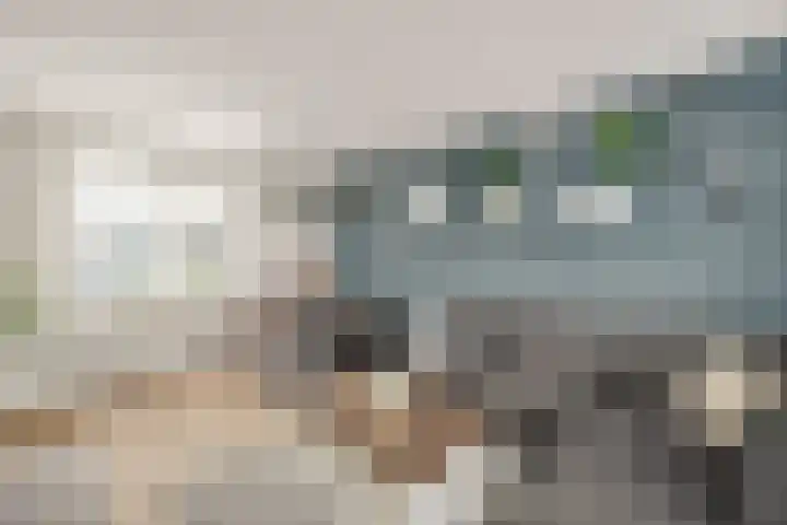 Julianastraat 7 Zuidland thumbnail 8