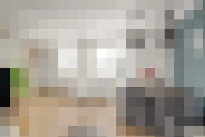 Julianastraat 7 Zuidland thumbnail 9