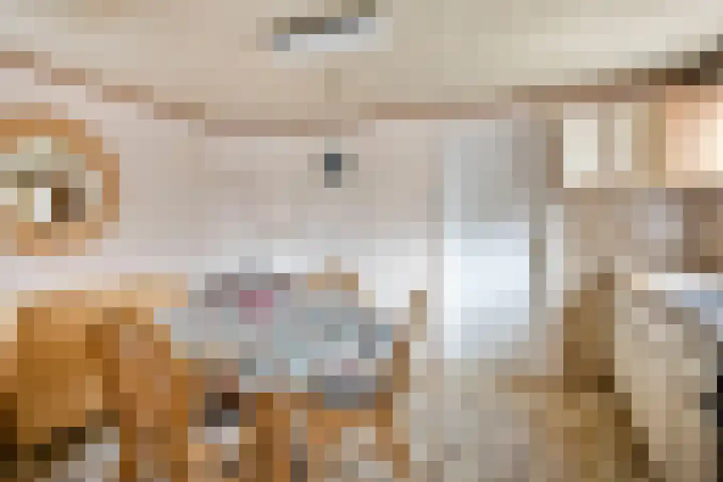 Julianastraat 70 Heikant thumbnail 15