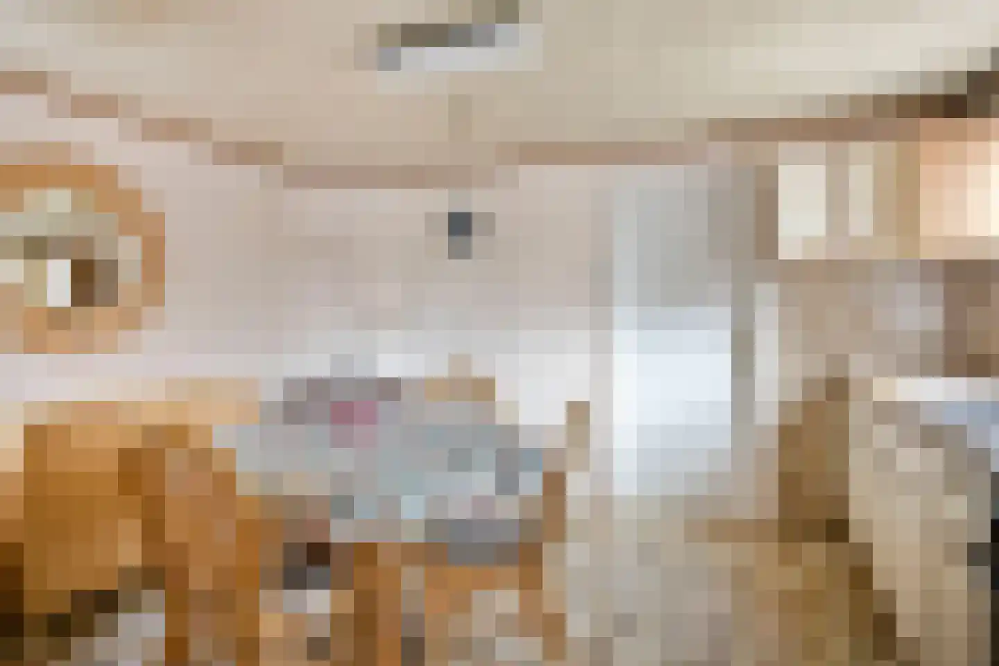 Julianastraat 70 Heikant thumbnail 4