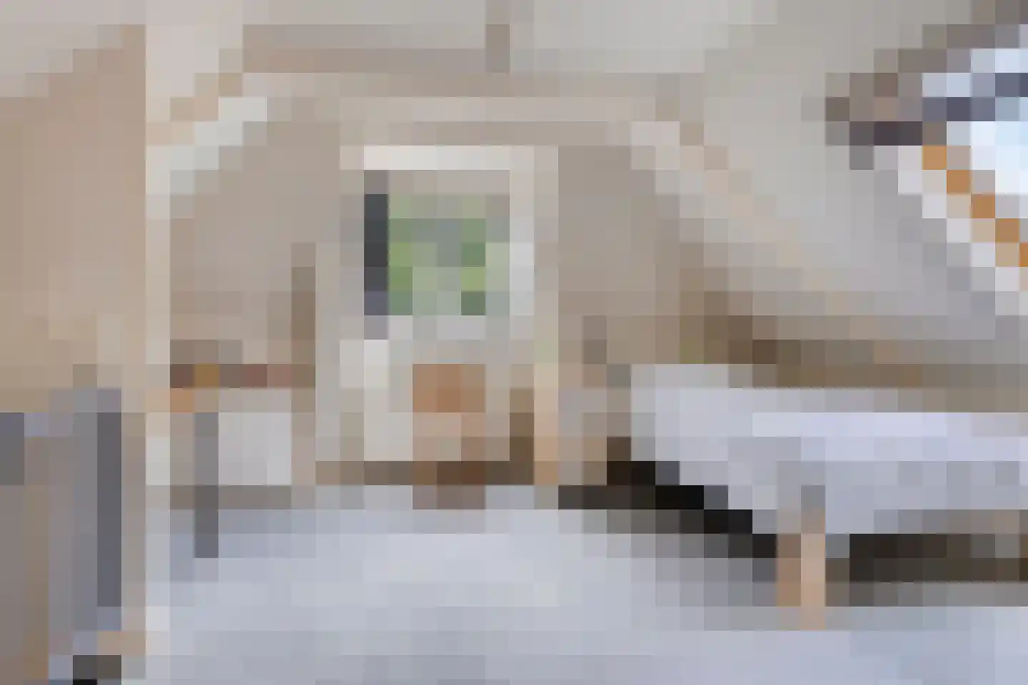 Julianastraat 73 Sneek thumbnail 22