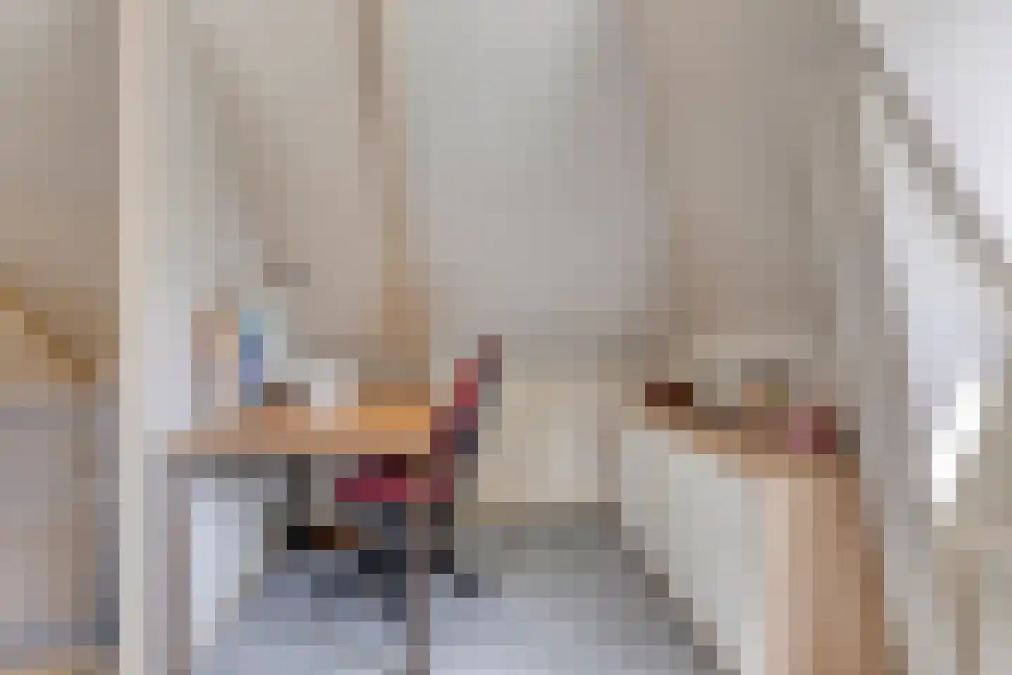 Julianastraat 73 Sneek thumbnail 24