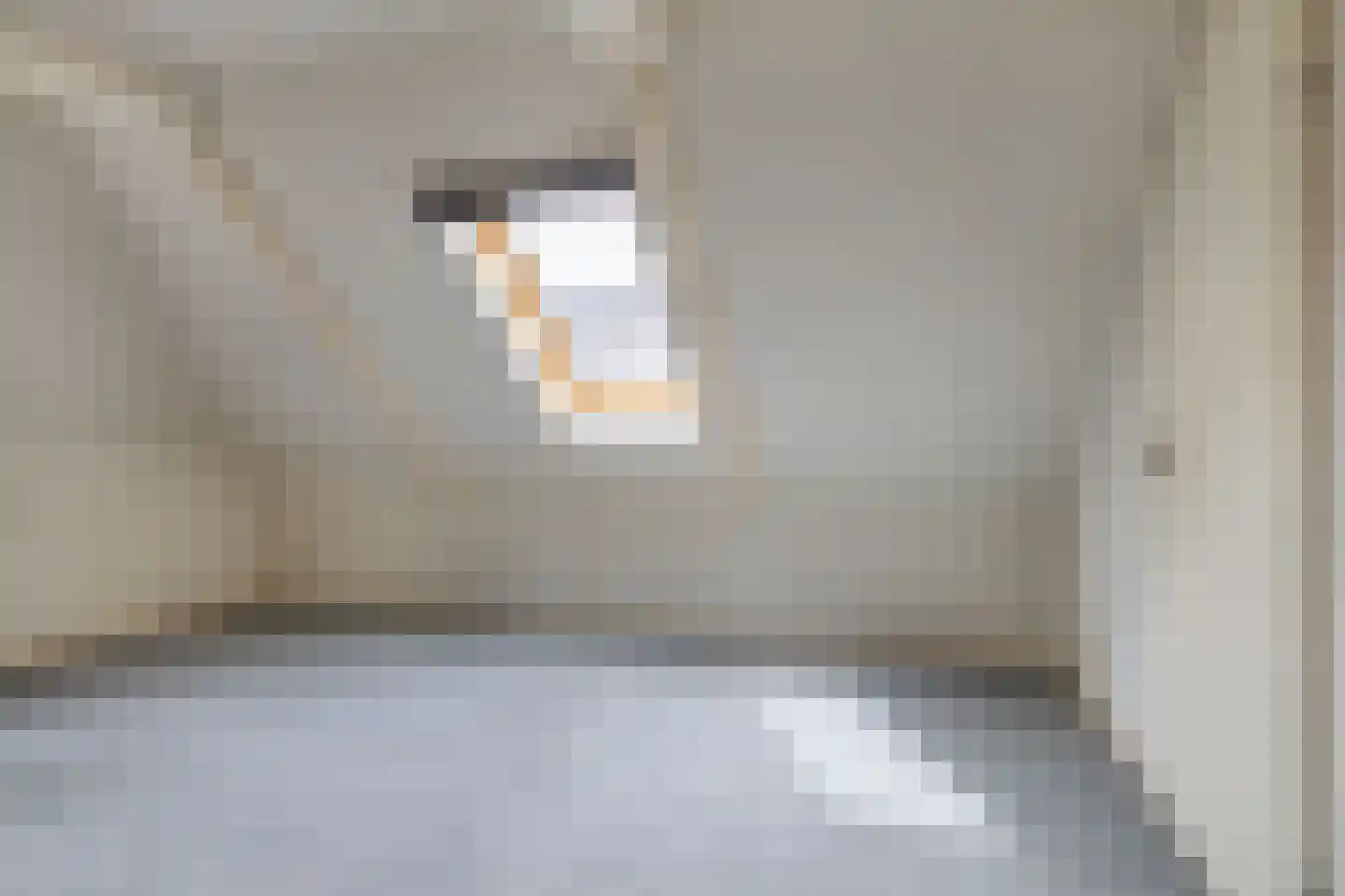 Julianastraat 73 Sneek thumbnail 26
