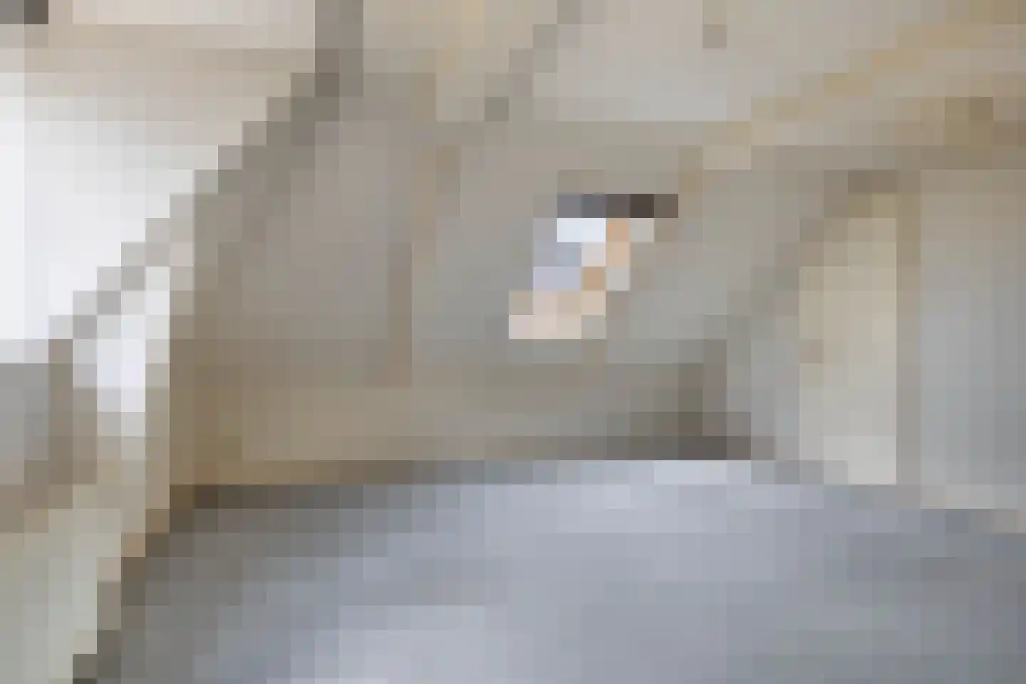 Julianastraat 73 Sneek thumbnail 27