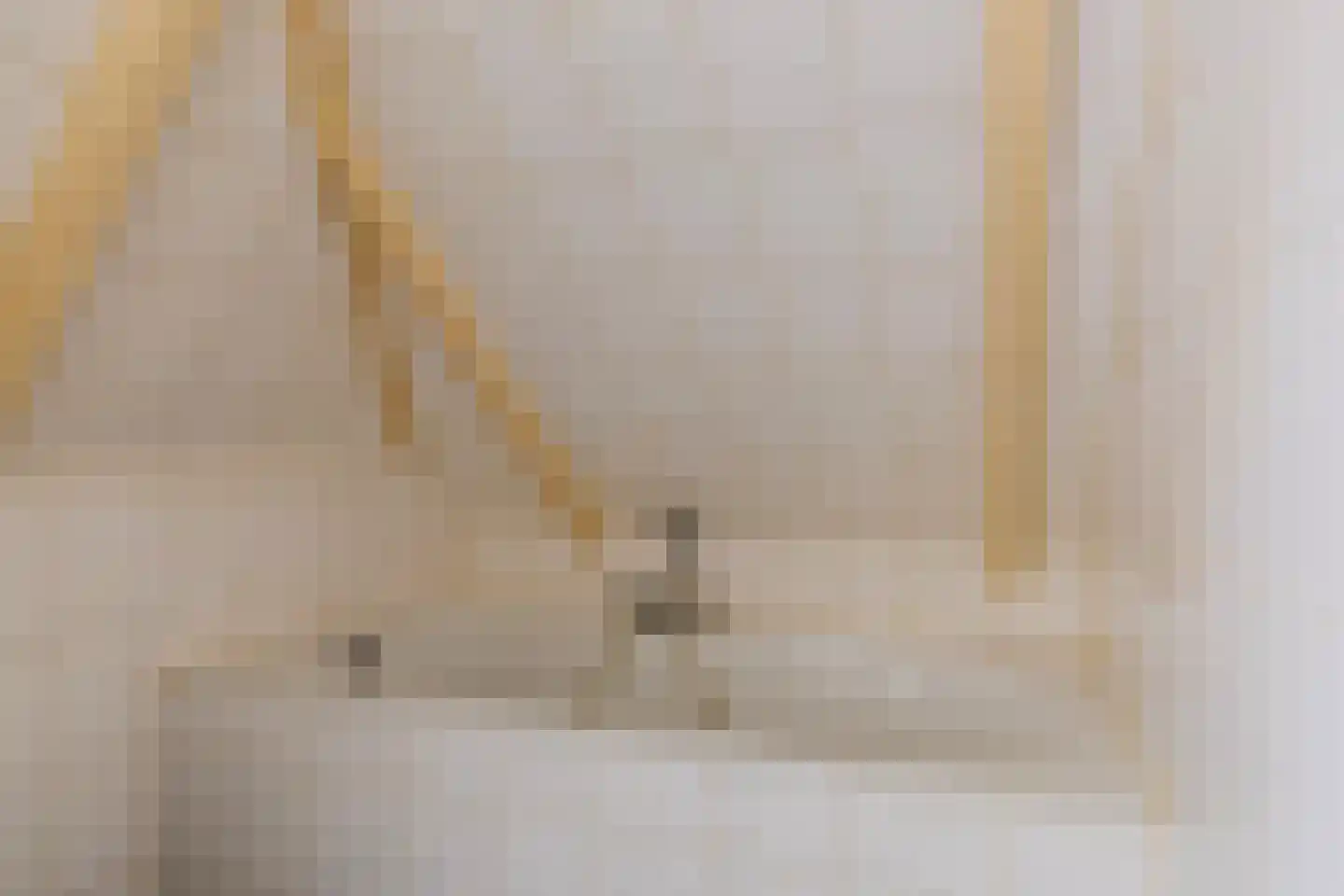 Julianastraat 73 Sneek thumbnail 28