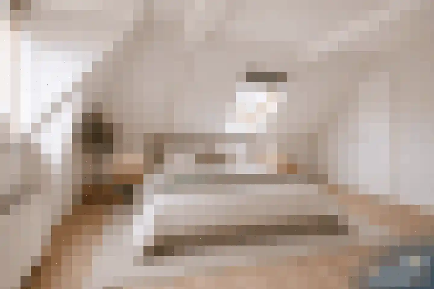 Julianastraat 73 Sneek thumbnail 28