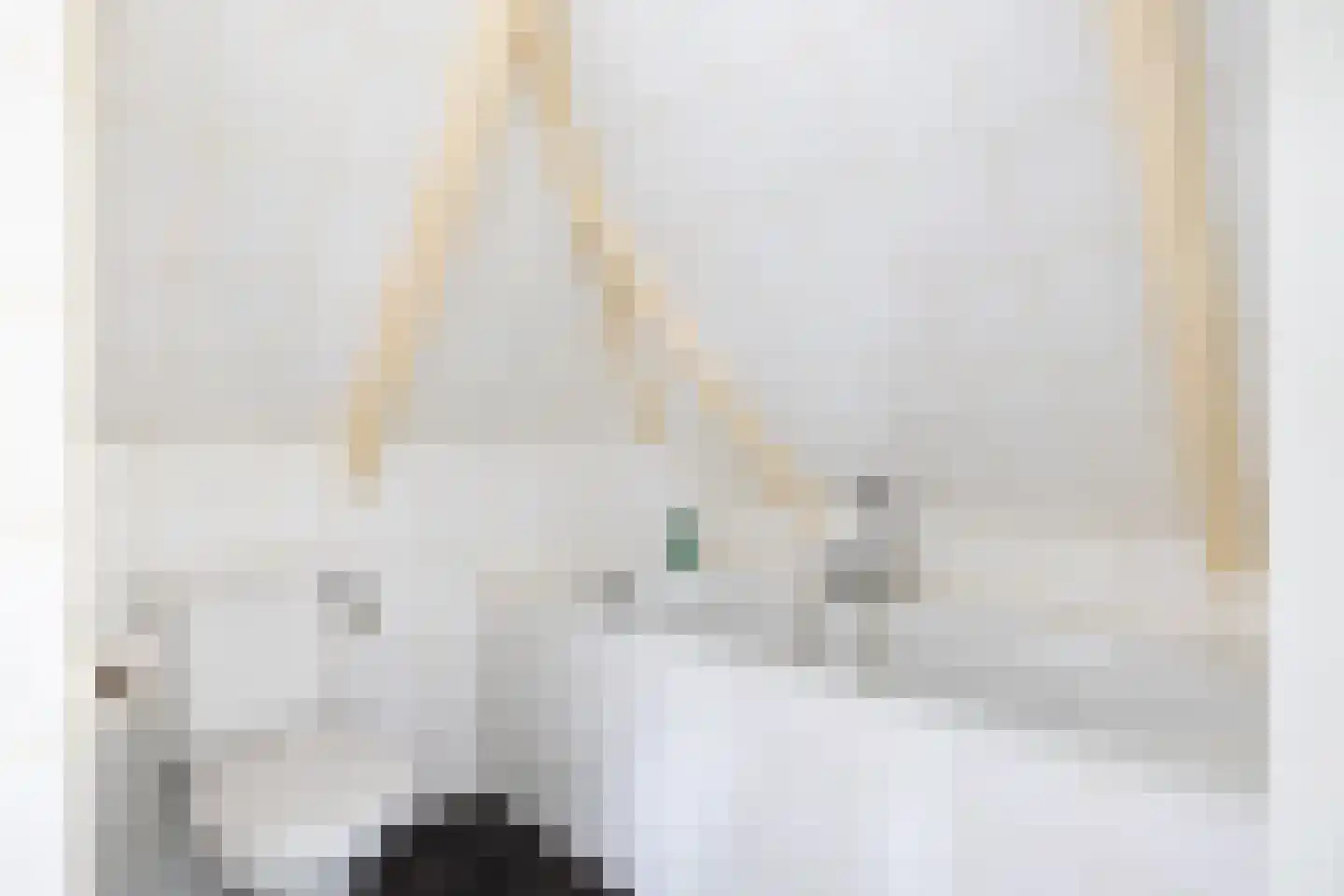 Julianastraat 73 Sneek thumbnail 32