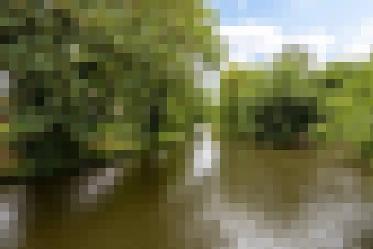 Julianastraat 73 Sneek thumbnail 40