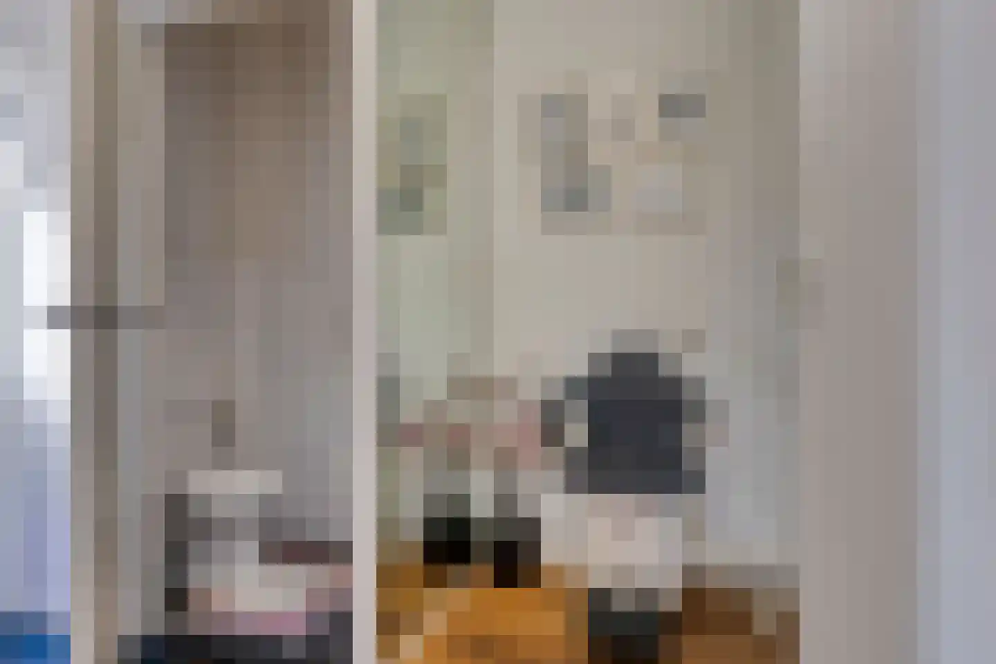 Julianastraat 73 Sneek thumbnail 5