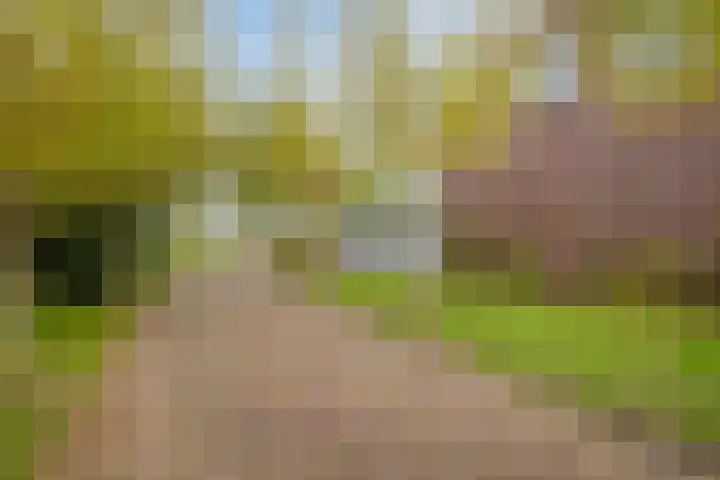Julianastraat 74 Heikant thumbnail 21