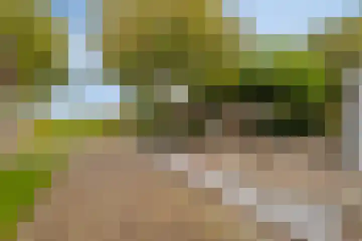 Julianastraat 74 Heikant thumbnail 22