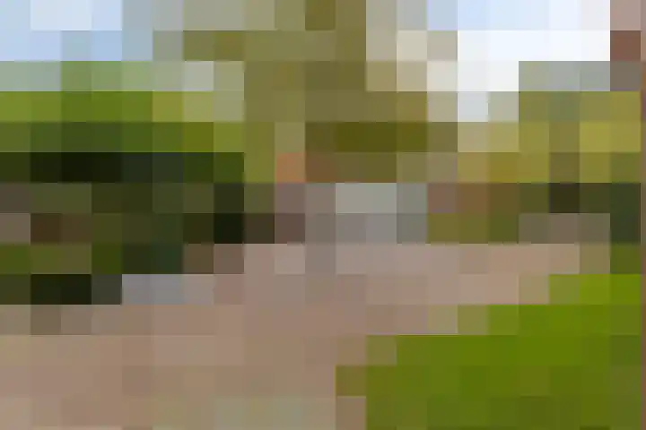 Julianastraat 74 Heikant thumbnail 23