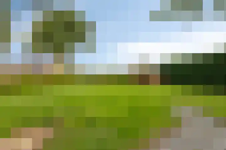 Julianastraat 74 Heikant thumbnail 24