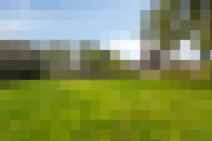 Julianastraat 74 Heikant thumbnail 25