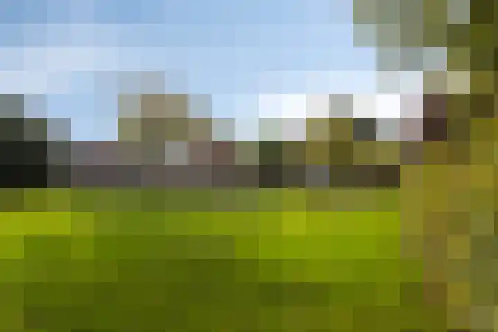 Julianastraat 74 Heikant thumbnail 26