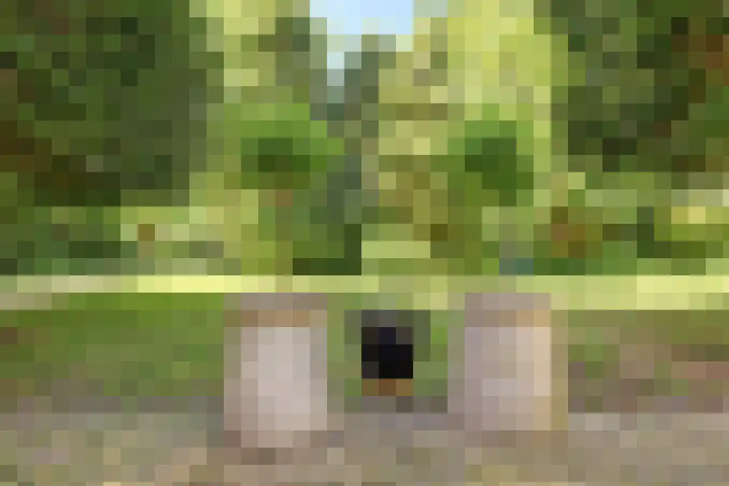 Julianastraat 74 Moerkapelle thumbnail 39