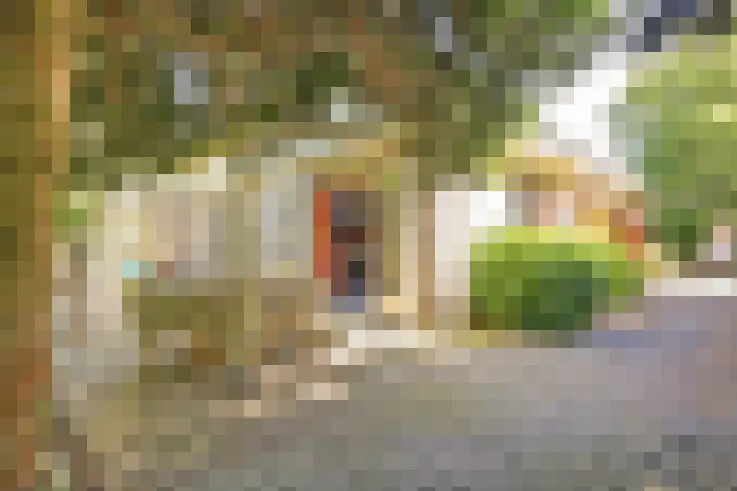 Julianastraat 74 Moerkapelle thumbnail 5