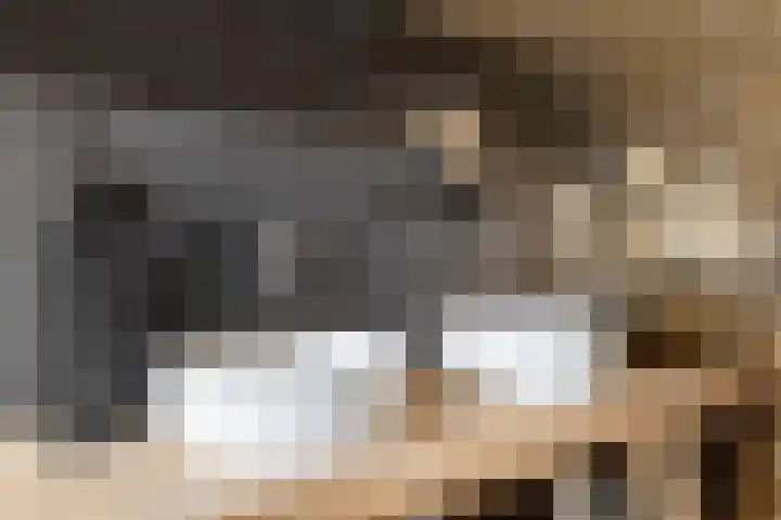 Julianastraat 74 Oud-Beijerland thumbnail 31