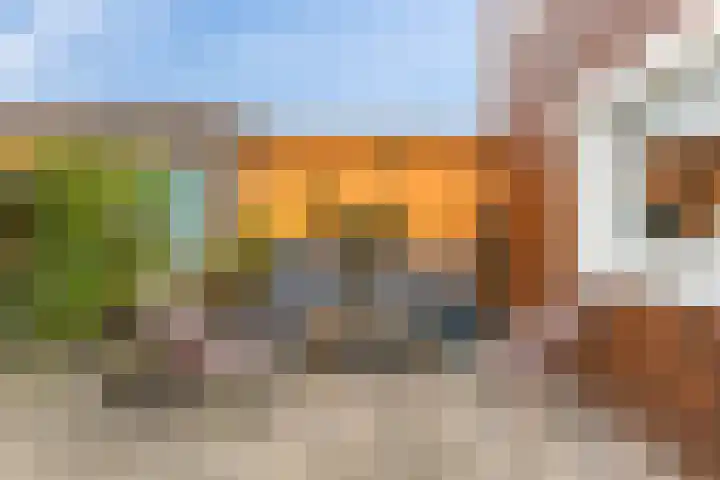 Julianastraat 74 Oud-Beijerland thumbnail 34