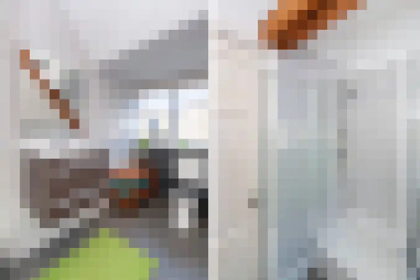 Julianastraat 74 Veenendaal thumbnail 35