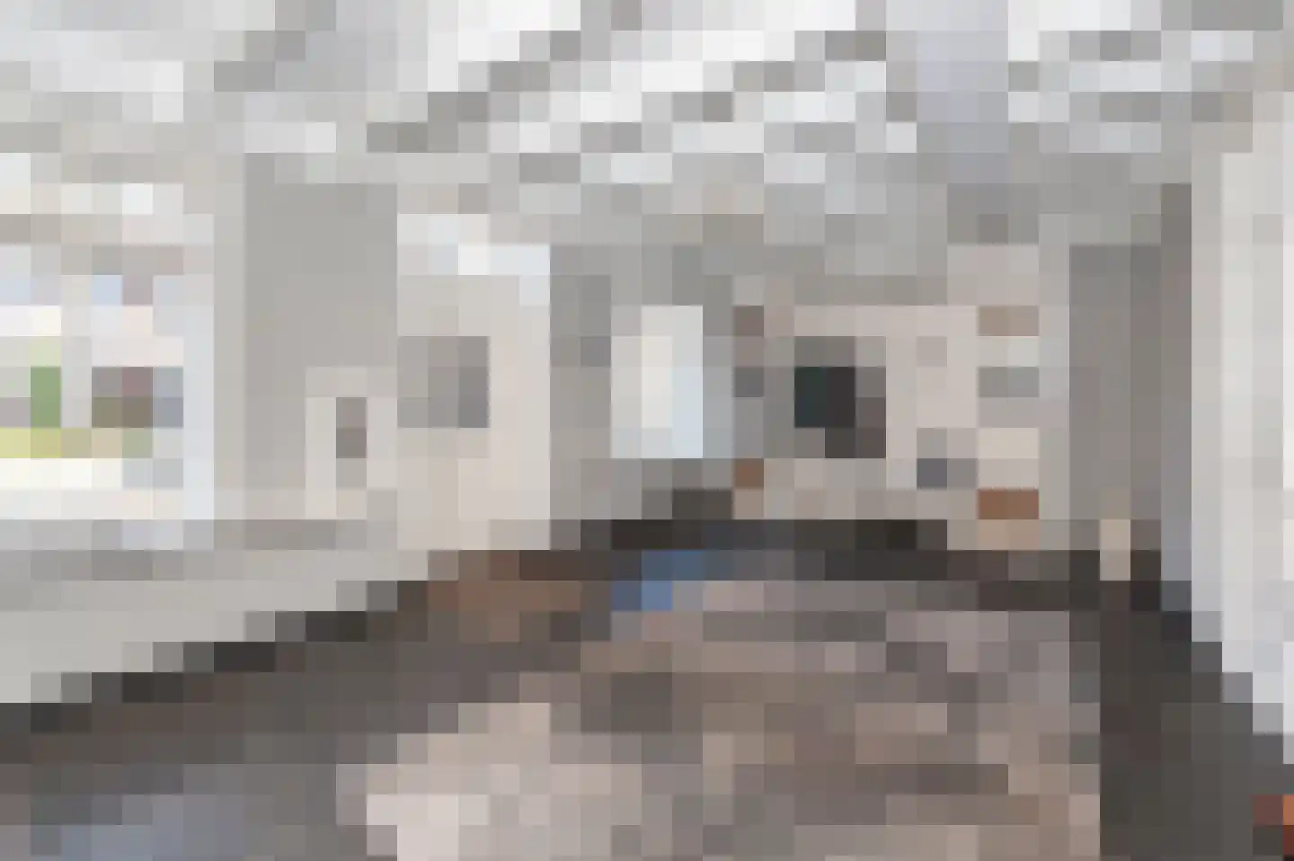 Julianastraat 74 Veenendaal thumbnail 6