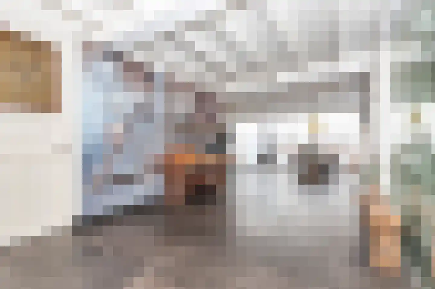 Julianastraat 74 Veenendaal thumbnail 7