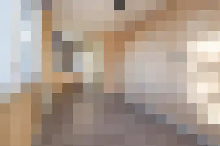 Julianastraat 75 Oude-Tonge thumbnail 21
