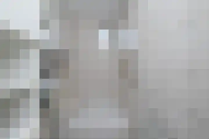 Julianastraat 75 Oude-Tonge thumbnail 24