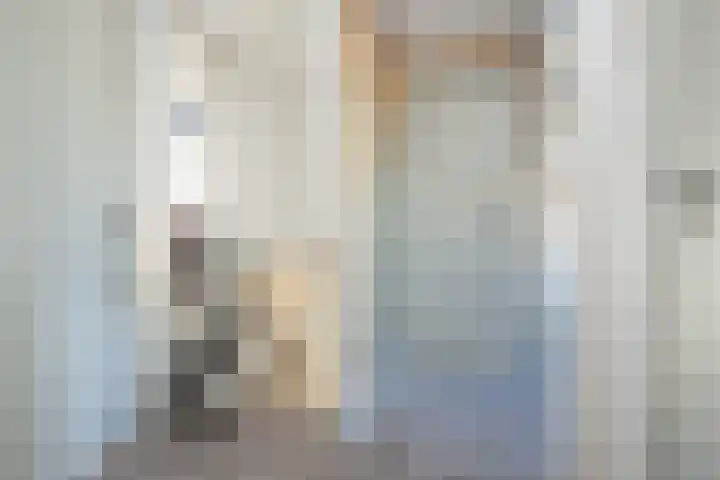Julianastraat 75 Oude-Tonge thumbnail 25