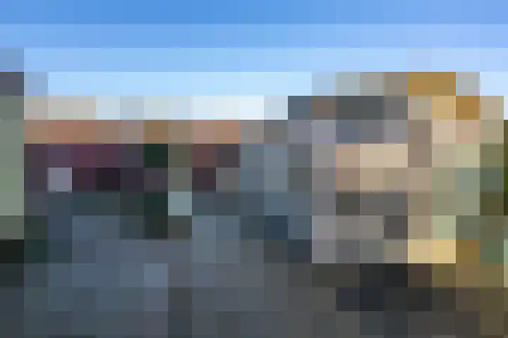 Julianastraat 75 Oude-Tonge thumbnail 27