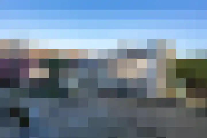 Julianastraat 75 Oude-Tonge thumbnail 28