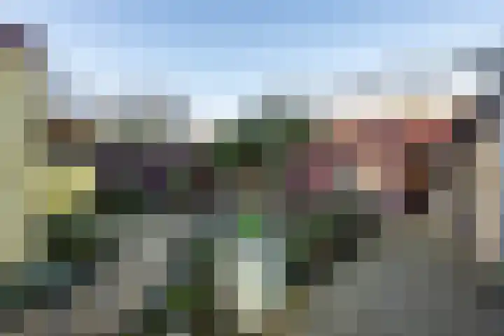 Julianastraat 75 Oude-Tonge thumbnail 29