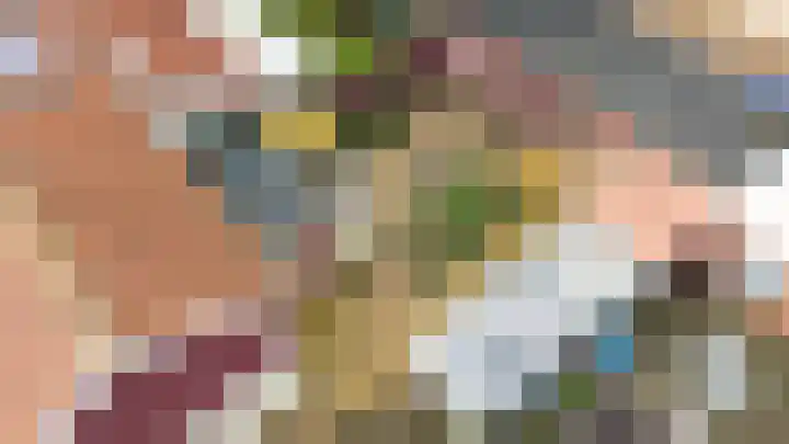 Julianastraat 75 Oude-Tonge thumbnail 31