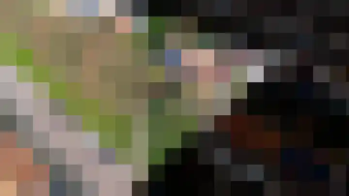 Julianastraat 75 Oude-Tonge thumbnail 32