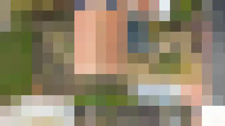 Julianastraat 75 Oude-Tonge thumbnail 33