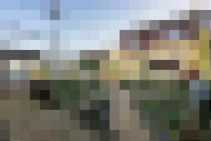 Julianastraat 75 Oude-Tonge thumbnail 34