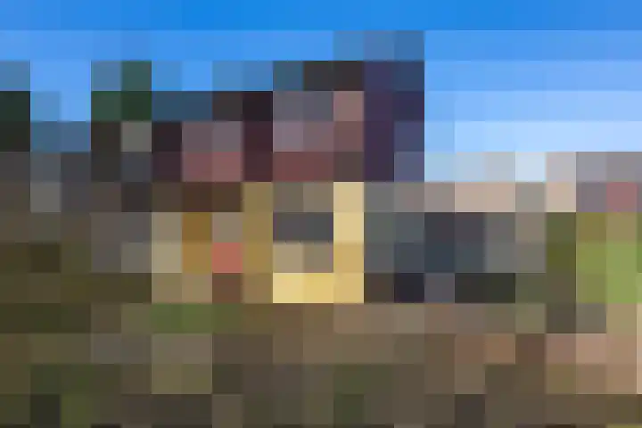 Julianastraat 75 Oude-Tonge thumbnail 35