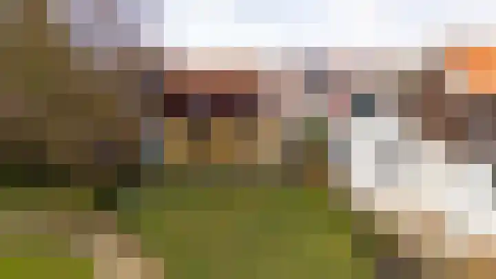 Julianastraat 75 Oude-Tonge thumbnail 36