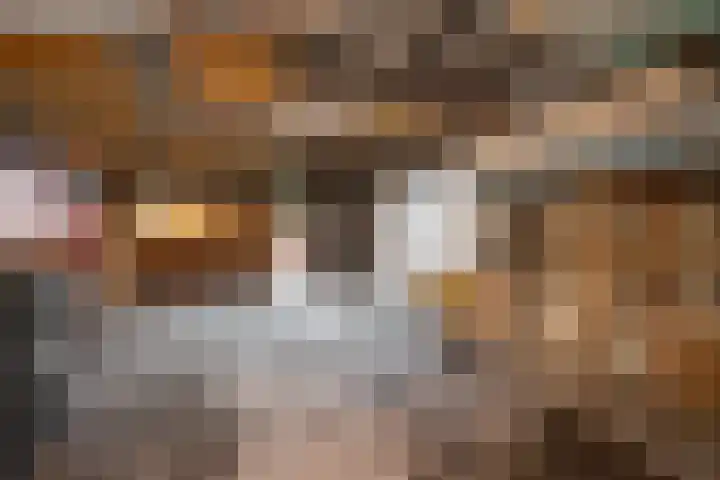 Julianastraat 75 Oude-Tonge thumbnail 5