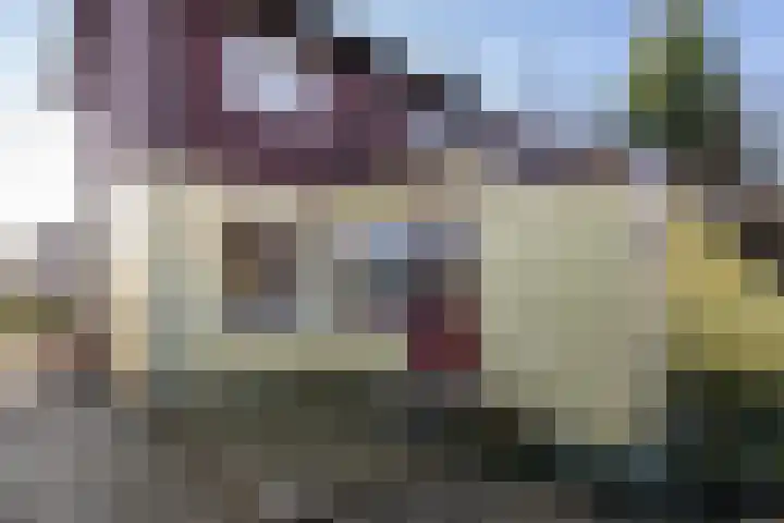 Julianastraat 75 Oude-Tonge thumbnail 6
