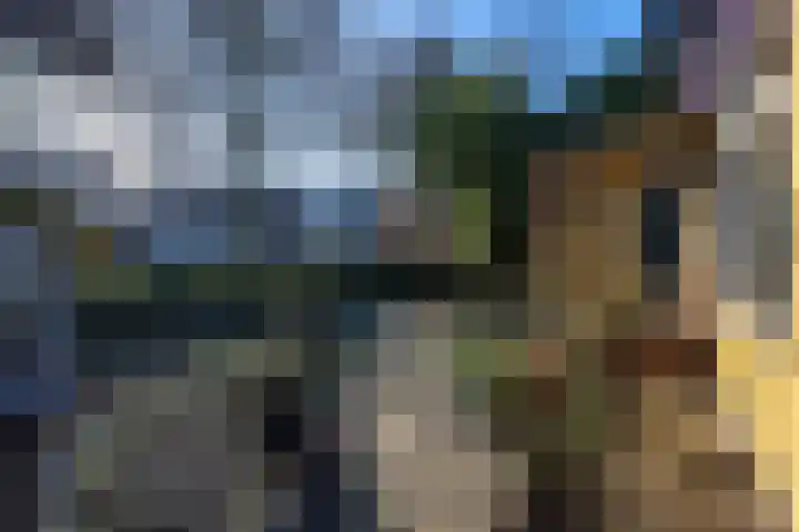 Julianastraat 75 Oude-Tonge thumbnail 7