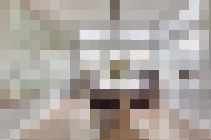 Julianastraat 75 Waarde thumbnail 17